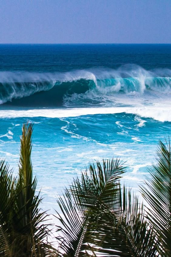 THE OAHU, HAWAII GALLERY 30 of our favorite photos from the beautiful island of Oahu on Hawaii.