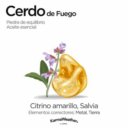 5 Elementos Chinos Fuego Tierra Metal Agua Madera Minerales Y Piedras Preciosas Horoscopo Chino Signos Del Zodiaco Chino