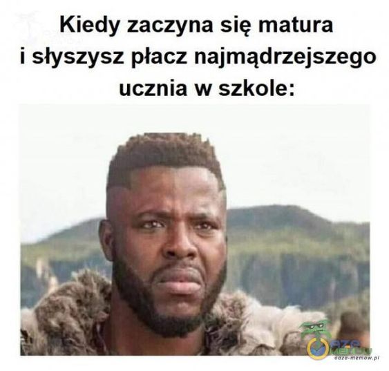 Matura 2022 najlepsze memy