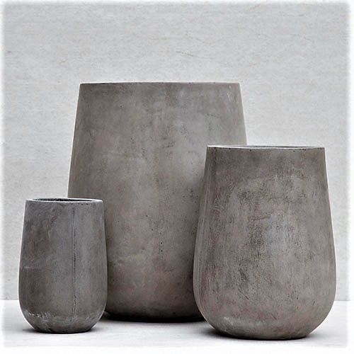 chậu xi măng trồng cây
