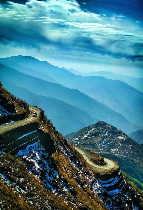 flora-of-sikkim