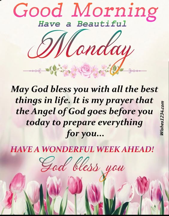 100+ Happy Monday Quotes | Monday Morning Quotes