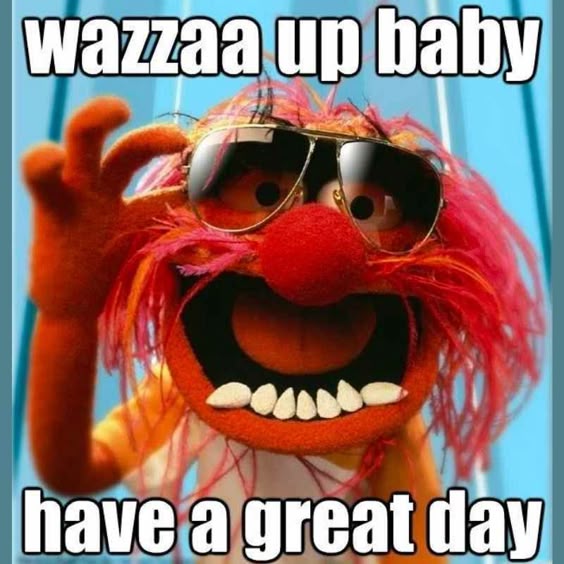 great day animal muppets meme
