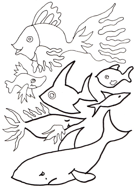 Pin Auf Fische