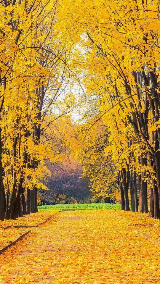 legit-nature-photos