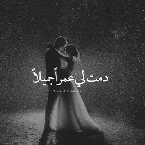 كبرياء انثى Sweet Love Quotes Romantic Words Romantic Quotes