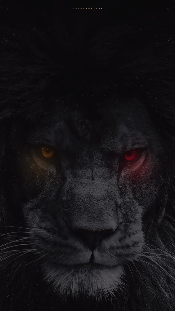 lion