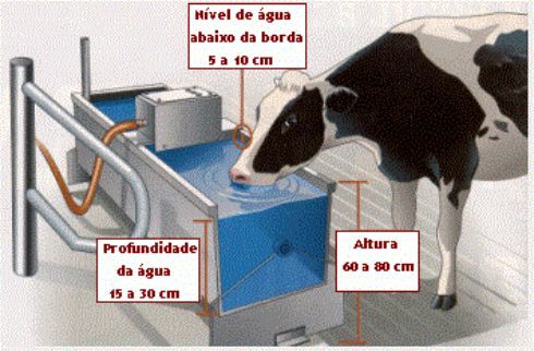 Bebederos Para El Ganado Ganado De Engorde Ganado Vacuno Bebederos Para Ganado