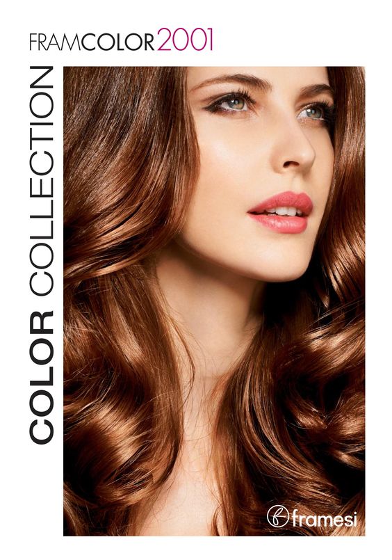 Framcolor 2001 Collection Folder Hair Styles Color Spa Salon