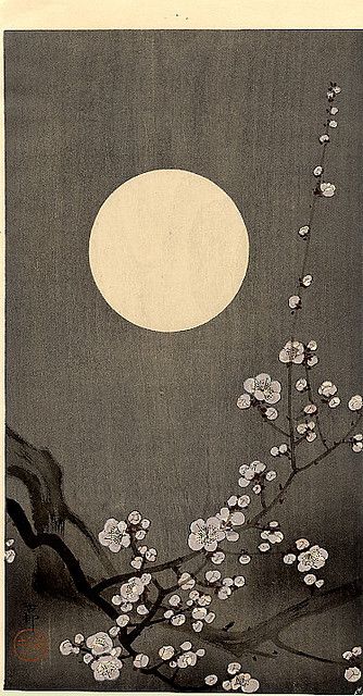 52 Best Japanese Design Images On Pinterest 52 Best Japanese Design Images On Pinterest