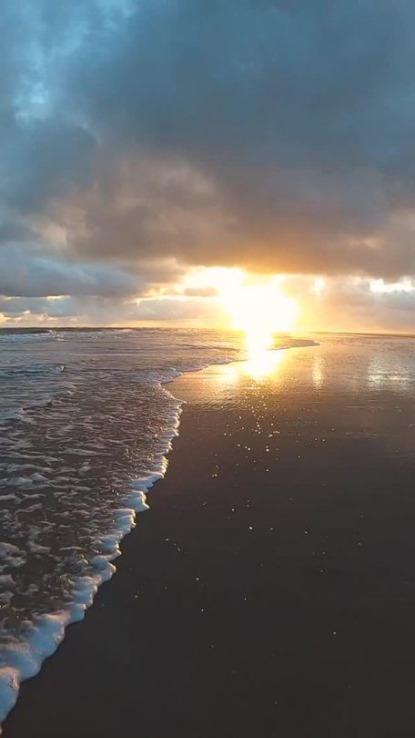 That Endless Summer