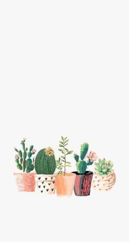 Pin By Kristine Gonzales On Wallpapers Plant Wallpaper White Wallpaper For Iphone Green Wallpaper Phone