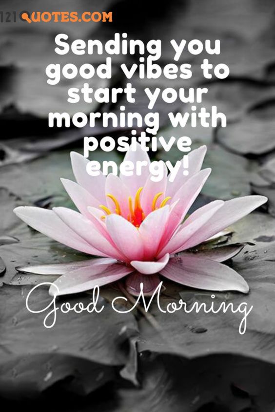 good morning image good morning image Free best collection of god good morning images. Free download high resolution god good morning images and Good wallpapers. Download & share now!Good Morning Poem - A cherry on the cake If you fe... #goodmorningimages #goodmorninghdimages