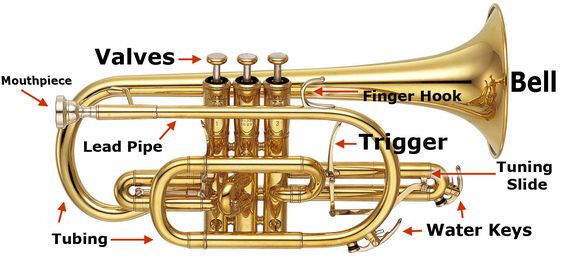 Google Image Result for wwwsheehans images help cornet - band instrument repair sample resume Google Image Result for wwwsheehans images help cornet - band instrument repair sample resume