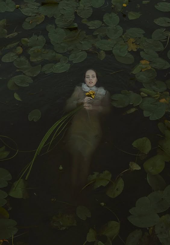 The Lady of the Lake by BarbaraMincedmeat on DeviantArt