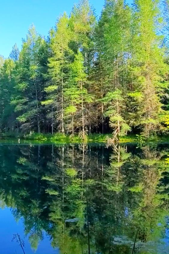 PHOTOS! (See 3 dots below video.) Make a stop at this area for a natural wonder! summer vacation road trip ideas. beautiful places to visit in US things to do for world bucket list, wanderlust inspiration, in the US. usa. united states