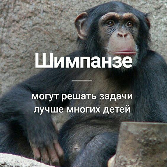 факти-бг