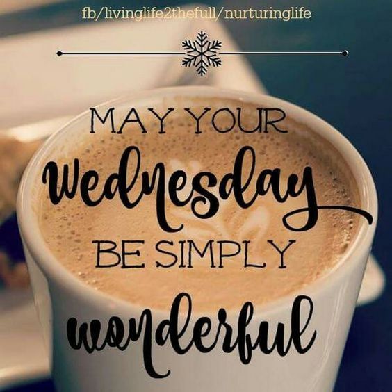 65 Happy Wednesday Quotes and Images to Celebrate Hump Day