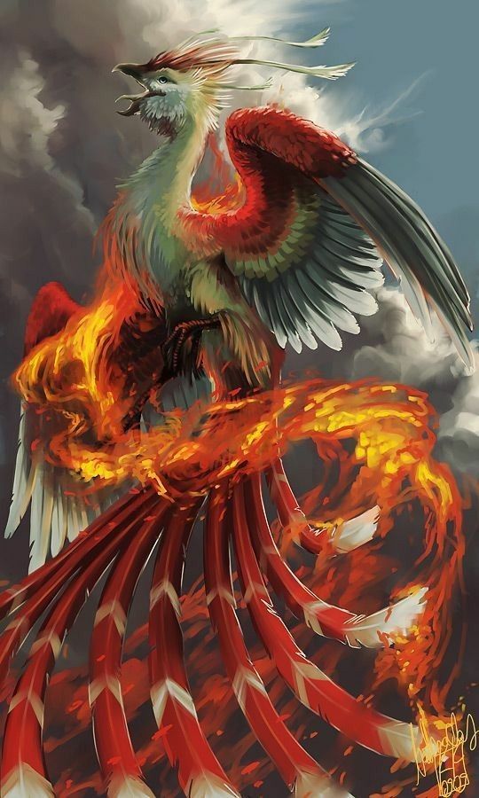 Pin De Poison Ivy En ยภค ๓ยรค ร Lเtคгเค Fotos De Ave Fenix Ave Fenix Dibujo Ave Fenix