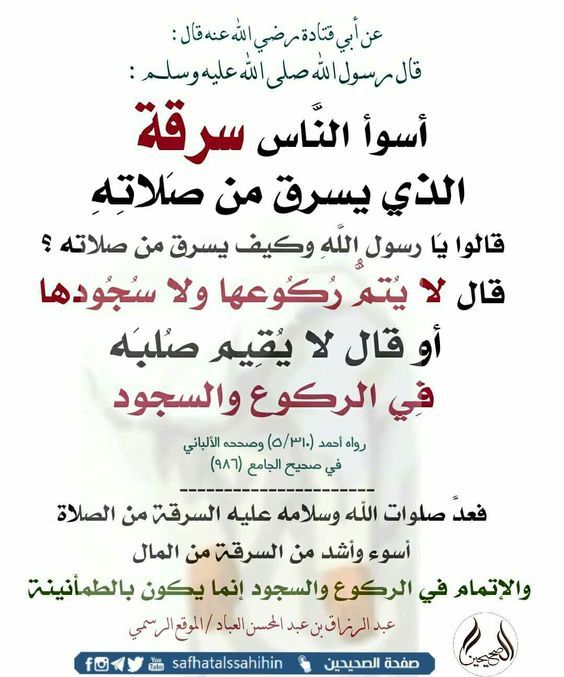 أجمل ما قيل في الحب ما قالته زليخة لسيدنا يوسف حين قال لها مستغربا أنتي ف ردت كنت يوما أن Funny Arabic Quotes Romantic Quotes Arabic Love Quotes