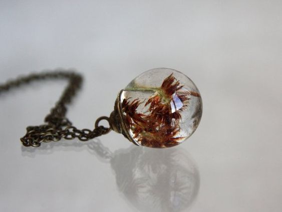Sphere 19 mm Bright natural pendant Pendant terrarium Orange acorn pendant with a real cap of acorns and epoxy The real cap of acorn