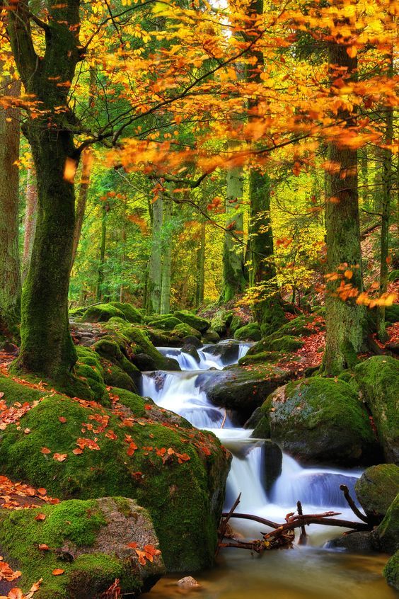beautiful autumn🍂❤️🎃🌆 - Autumn Photo (42988907) - Fanpop