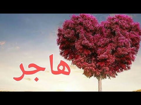 معنى اسم هاجر وصفات حاملة الاسم Youtube Flowers Plants Dandelion