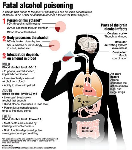 an overview of the ways in which alcohol affects health Does alcohol cause you to age faster by exploring the ways in which alcohol affects the aging how untreated drug or alcohol addiction affects other health. an overview of the ways in which alcohol affects health Does alcohol cause you to age faster by exploring the ways in which alcohol affects the aging how untreated drug or alcohol addiction affects other health.