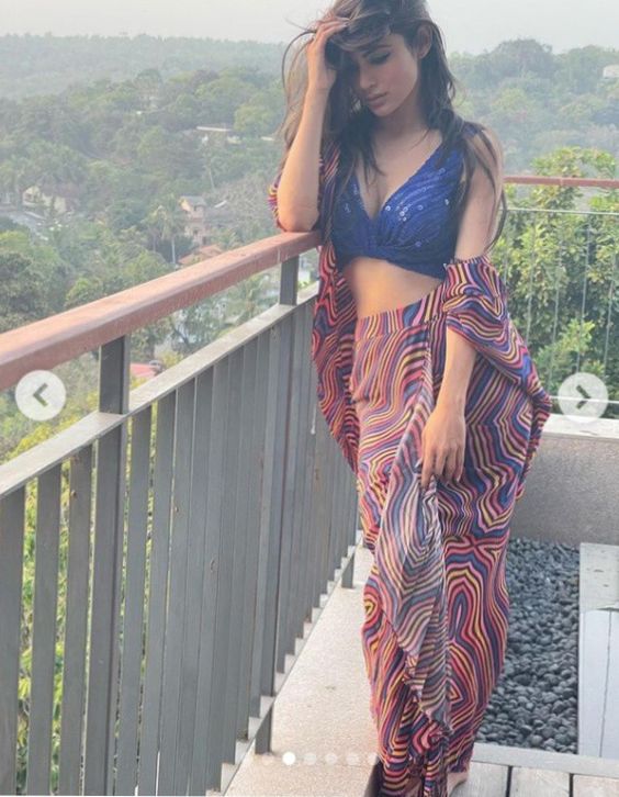 mouny-roy