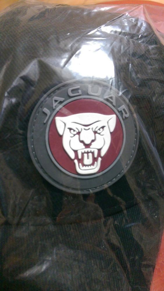 Jaguar custom embroidered logo thinsulate beanie hat BNWT choice of colours