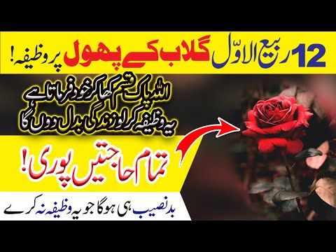 12 Rabi-ul-Awal ka Wazifa | Har Hajat 1 Din main Pori Hogi | Gulab ke Phool ka Wazifa