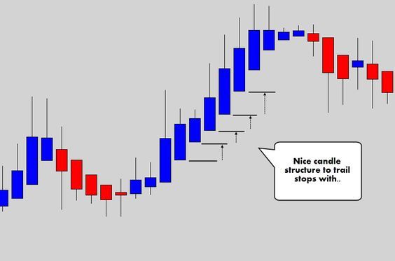 Cara membaca grafik forex