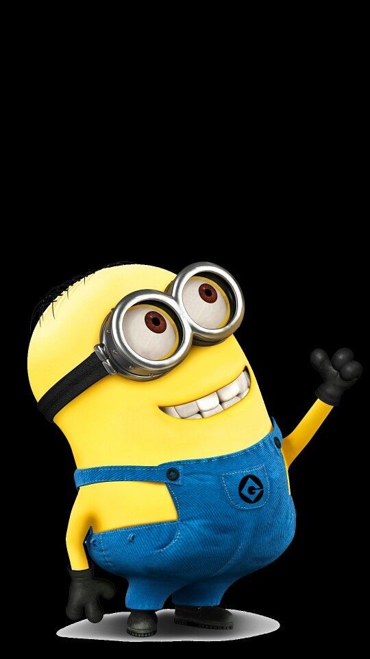 minion-4k