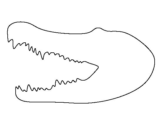 top 10 free printable crocodile coloring pages online animais