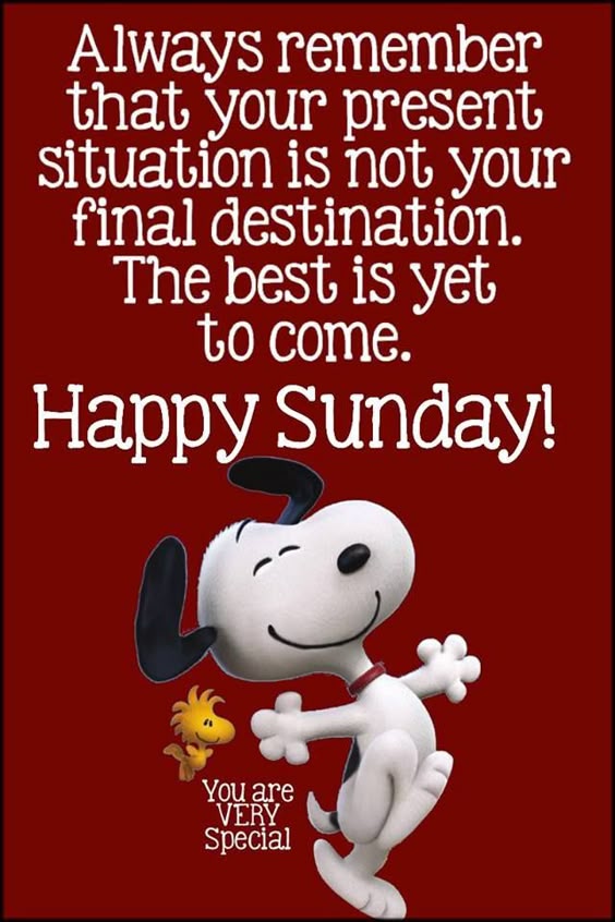 Always remember that your present situation is not your final destination. The best is yet to come. Happy Sunday!
