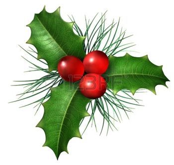 58,147 Holly Leaves Stock Photos and Images - 123RF