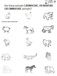 Worksheet Food Webs For Kindergarten Students food web of savanna education and healthy eating pinterest webs biomes life science