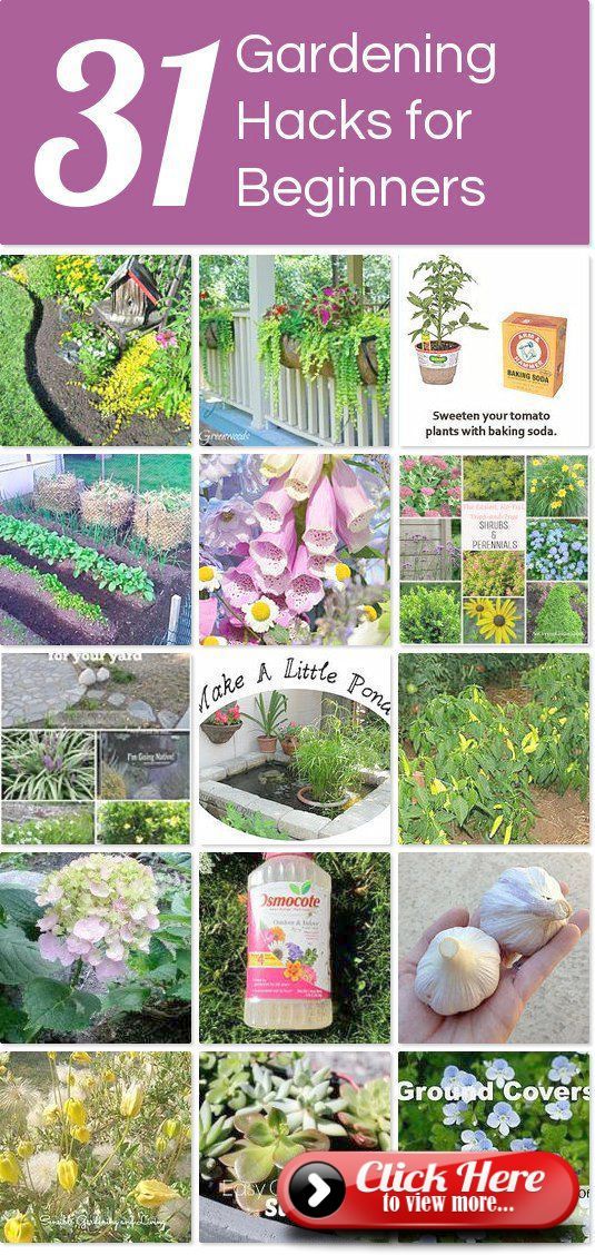 Gartenhandschuhe David Jones Gartenarbeiten Jarrow Vegetable Gardening For Garden Beginners Plants Vegetable Garden For Beginners Plants, Gardening Tips For Beginners Pdf