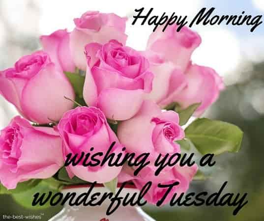 116 Lovely Good Morning Tuesday Images, Wishes and Pictures