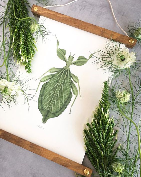 lámina insecto decoración #laminasbotanicas #papeleriabotanica #decoracion #interiorismo #insectos #ilustracionesbotanicas #savethedateprojects