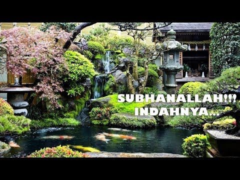Subhanallah Indahnya Kolam Ikan Koi Bernuansa Alami Natural