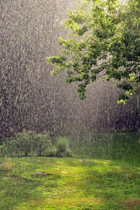 ☂ Jour de pluie ☂