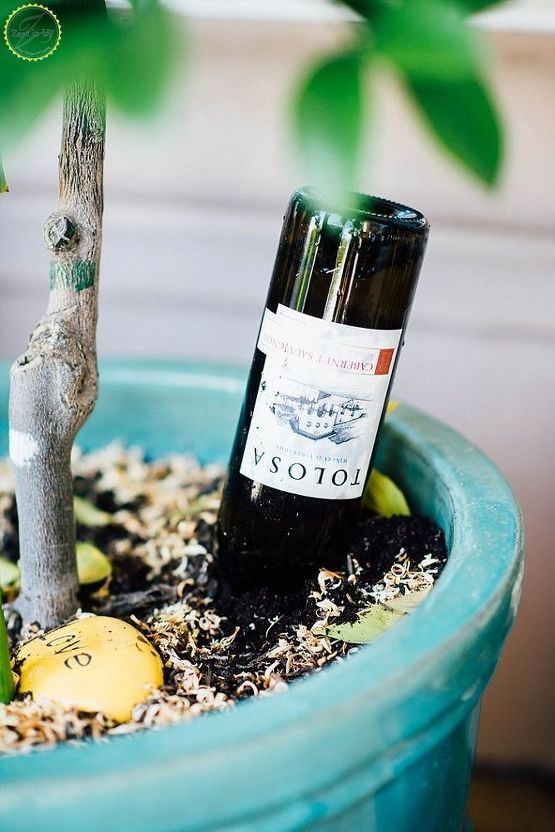 Self Watering Planters Diy Wine Bottle Self Watering Planters Diy Wine Bottle