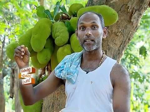 CHAKKA -ചക്ക- KERALA EXPRESS - BY BIJU MUTHATHI - YouTube