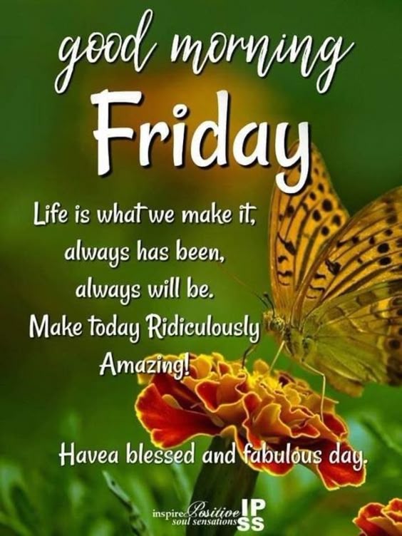 10 Friday Quotes And Sayings For A Beautiful Day