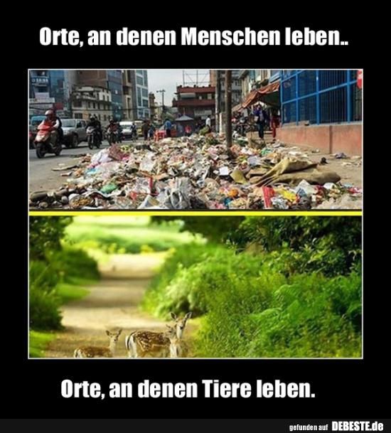 Orte An Denen Menschen Leben Orte An Denen Tiere Leben