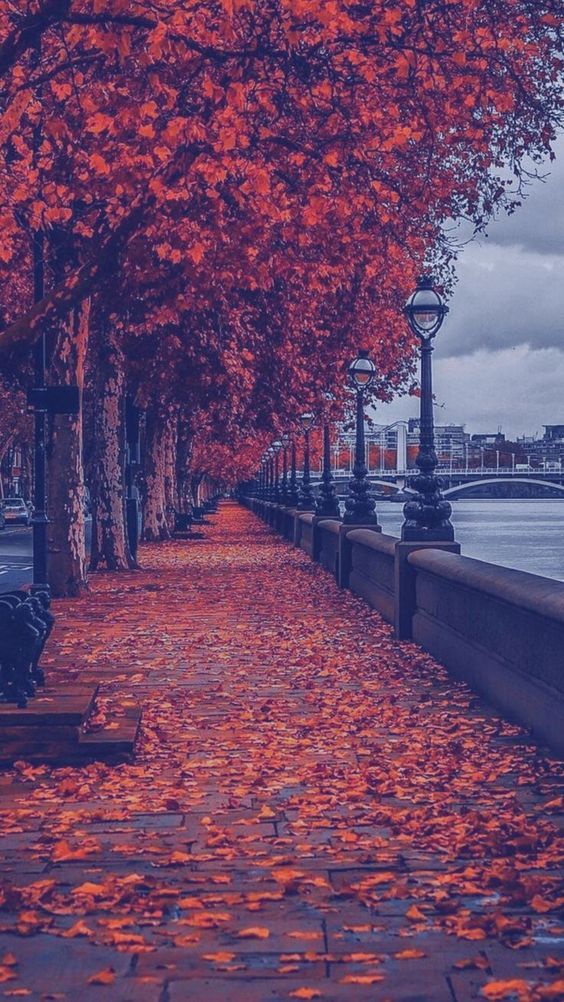 best-for-mobile-wallpaper-nature-photos