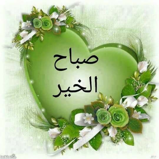 و إذا الصباح أتي يز ف ضياء ه فالبس له حلل الجمال سرورا واعقد مع الآمال ح لف تفاؤل قل Good Morning Greetings Good Morning Prayer Morning Greetings Quotes
