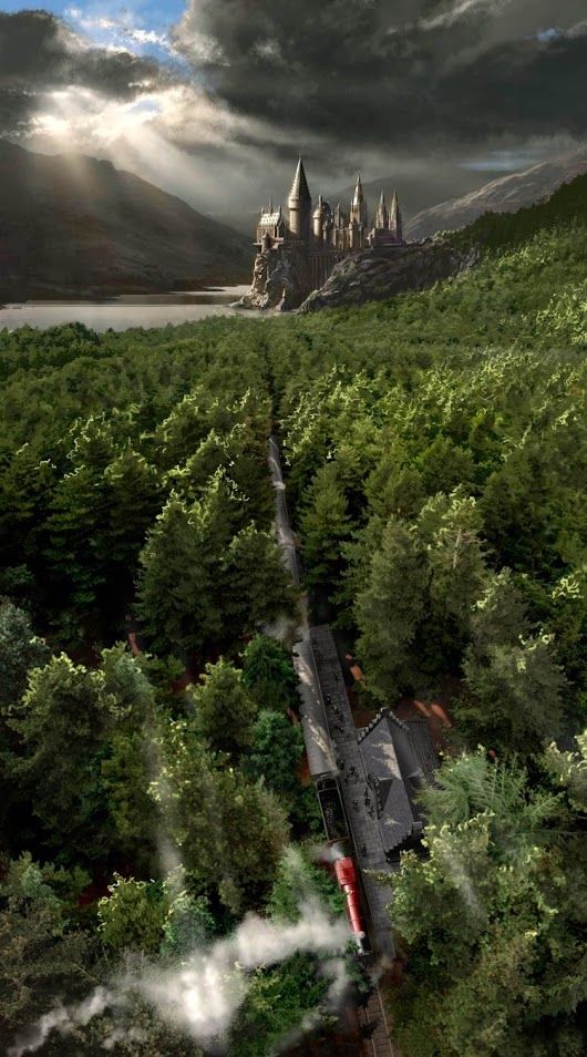 https://i.pinimg.com/564x/f7/b0/33/f7b033ce2a24805683c32ef144b0aaaf.jpg