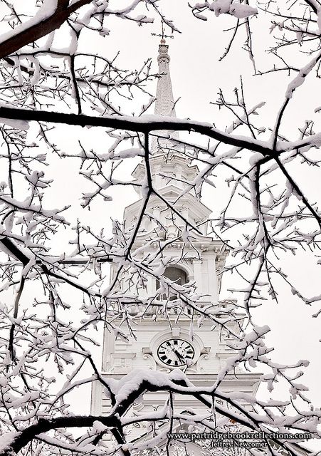 steeple and snow covered branches